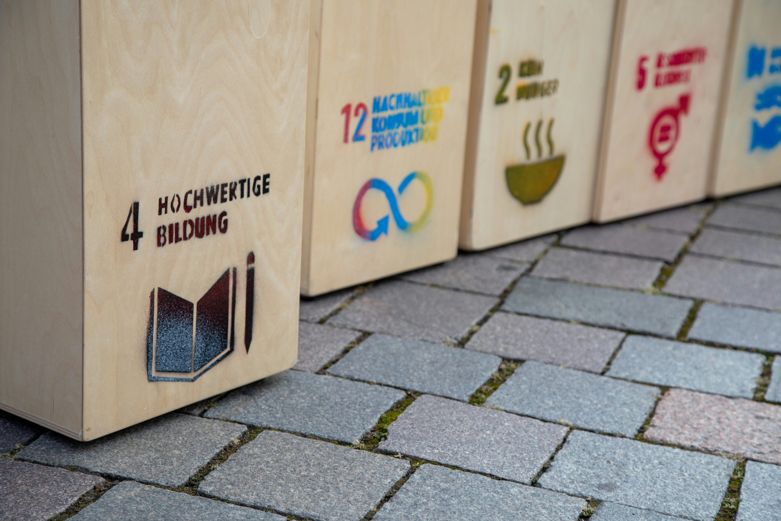 Call for Abstracts/Chapters: Young People and the Sustainable Development Goals